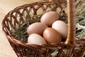 Organic fresh chicken eggs in the wicker basket on hay. Farm products, eco friendly food production. Close up Royalty Free Stock Photo