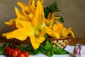 Organic and fresh courgette and zucchini flowers, summer harverst on wooden table Royalty Free Stock Photo