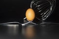 Organic fresh egg standing on two joined fork on black background Royalty Free Stock Photo