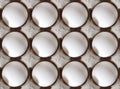 Organic fresh eggs Royalty Free Stock Photo