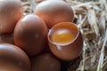 Fresh eggs Royalty Free Stock Photo