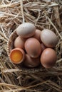 Fresh eggs Royalty Free Stock Photo
