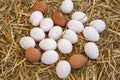 Organic fresh eggs on straw at farmer marke Royalty Free Stock Photo