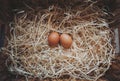 Organic fresh eggs in a straw nest. Easter eggs on wooden straw background Royalty Free Stock Photo