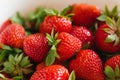 Organic fresh farm strawberries close-up. Background of berries Royalty Free Stock Photo