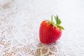 Organic fresh farm strawberries close up lying on a Lacy white tablecloth. Royalty Free Stock Photo