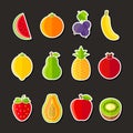 Organic fresh fruits and berries icons flat design