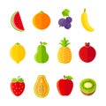 Organic fresh fruits and berries icons flat design
