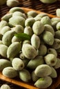 Organic Fresh Green Almonds Royalty Free Stock Photo