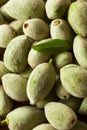 Organic Fresh Green Almonds Royalty Free Stock Photo