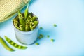 Organic fresh green peas and pea pods in a tin can Royalty Free Stock Photo