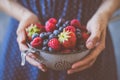 Organic fresh harvested berries. Hands holding fresh juicy berries, closeup