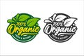 Organic fresh natural design premium logo Royalty Free Stock Photo