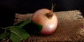 Organic fresh pink onion isolated with leaves at black background