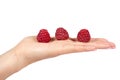 Organic fresh raspberry with hand isolated on a white background. Royalty Free Stock Photo