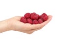 Organic fresh raspberry with hand isolated on a white background. Royalty Free Stock Photo