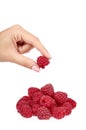 Organic fresh raspberry with hand isolated on a white background. Royalty Free Stock Photo