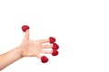 Organic fresh raspberry with kid hand isolated on a white background, copy space template. Royalty Free Stock Photo