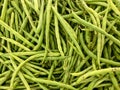 Organic Fresh raw string bean or french beans or buncis in Bahasa Royalty Free Stock Photo