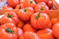 Organic fresh red tomatoes sold at local market in Provence Royalty Free Stock Photo