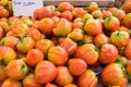 Organic fresh red yellow tomatoes sold at local market Royalty Free Stock Photo