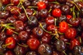 Organic fresh ripe cherries on a local farmer market. Red Cherry Background. Healthy local food market concept Royalty Free Stock Photo