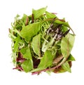 Organic fresh salad green leaves. Food healthy eating herbs