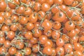 Organic fresh small orange ripe cherry tomatoes on the market on sunny day Royalty Free Stock Photo
