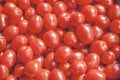 Organic fresh small red ripe cherry tomatoes on the market on sunny day Royalty Free Stock Photo