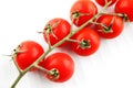 Organic fresh tomatoes on the vine Royalty Free Stock Photo