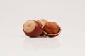 Organic and fresh two shelled and unshelled hazelnuts on white background Royalty Free Stock Photo
