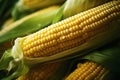 Organic freshness Ripe vegetable maize plant closeup in agricultural setting