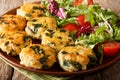Organic fried meatballs with spinach and vegetable salad close-up. horizontal