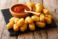 Organic Fried Tater Tots made from fried potato and ketchup close-up. Horizontal