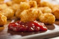 Organic Fried Tater Tots Royalty Free Stock Photo