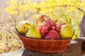 Organic fruit in basket in summer grass. Fresh grapes, pears and apples in nature Royalty Free Stock Photo