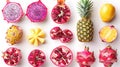 Organic Fruit Collection: Pomegranate, Pineapple & Dragon Fruit Slices with Shadows for Online Menu & Shopping Lists