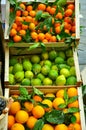 Organic fruit market Royalty Free Stock Photo