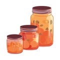 Organic fruit in preserves jars Royalty Free Stock Photo