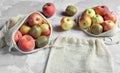 Organic fruits in reusable eco friendly natural bag