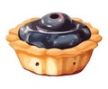 Organic fruits tartlet food