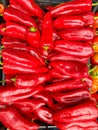 Organic fruits and vegetables in local organic farmers market. Royalty Free Stock Photo