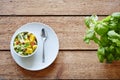 Organic fruitsalad decorated for breakfast Royalty Free Stock Photo