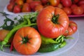 Organic garden products, large tomato, close-up large natural field tomato
