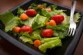 Organic Garden Salad Royalty Free Stock Photo