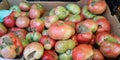 Organic garden tomatoes on a farmer market Royalty Free Stock Photo