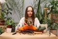 Organic gardening in the house. Female florist at work. Puzzled sad woman botanist wearing apron working in home greenhouse with Royalty Free Stock Photo