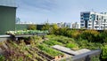 Organic gardens installed on the roofs of buildings. Urban orchards on the terrace of high-rise building. Sustainable economy.