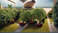 Organic gardens installed on the roofs of buildings. Urban orchards on the terrace of high-rise building. Sustainable economy.