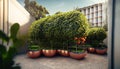 Organic gardens installed on the roofs of buildings. Urban orchards on the terrace of high-rise building. Sustainable economy.